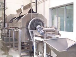 FRUIT VEGETABLE PROCESSING EQUIPMENT