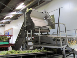 SWEET CORN PROCESSING LINE