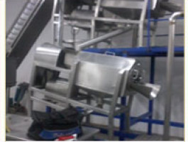 PULP CANNING & ASPTIC PLANTS