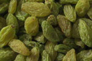 Golden Resins