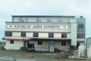 Kaivalya Agro Exports