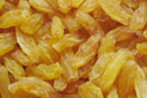 Golden Resins