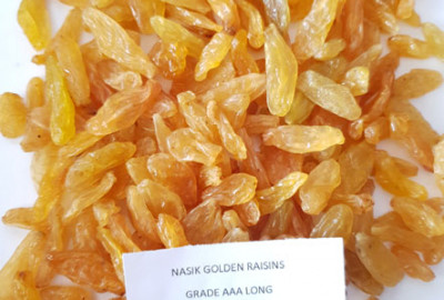 Nashik Golden Raisins