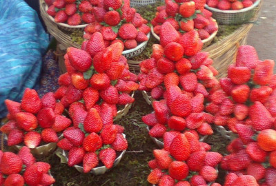Strawberry