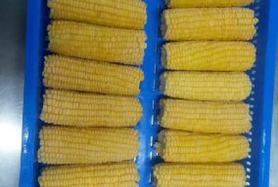 FROZEN CORN ON COB