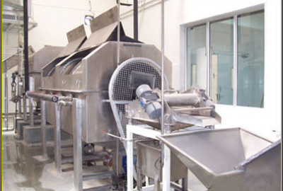 FRUIT VEGETABLE PROCESSING EQUIPMENT