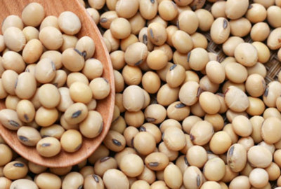 soyabean