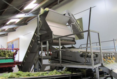SWEET CORN PROCESSING LINE
