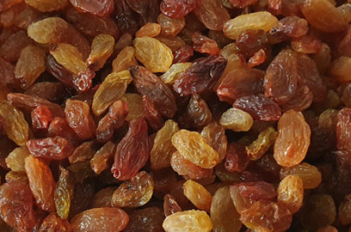 Malayar Raisins