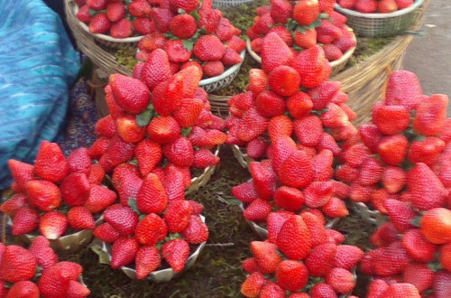 Strawberry