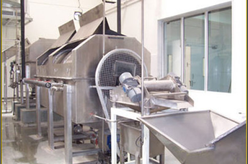 FRUIT VEGETABLE PROCESSING EQUIPMENT