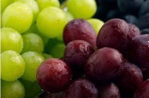 Grapes