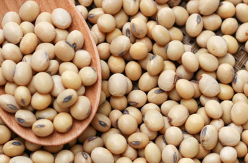 soyabean