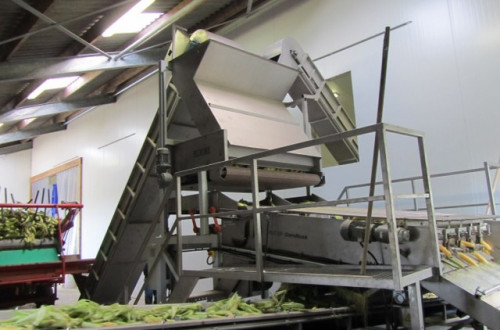 SWEET CORN PROCESSING LINE