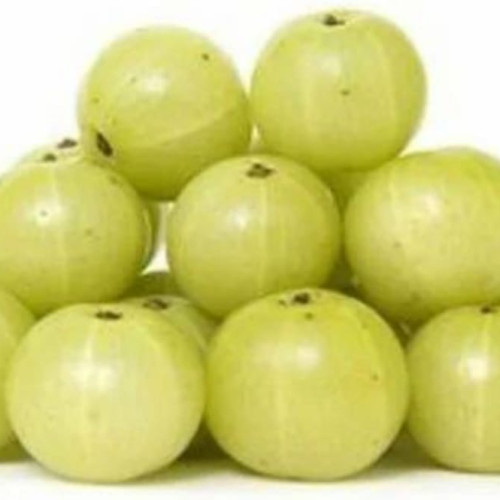 Indian Gooseberry
