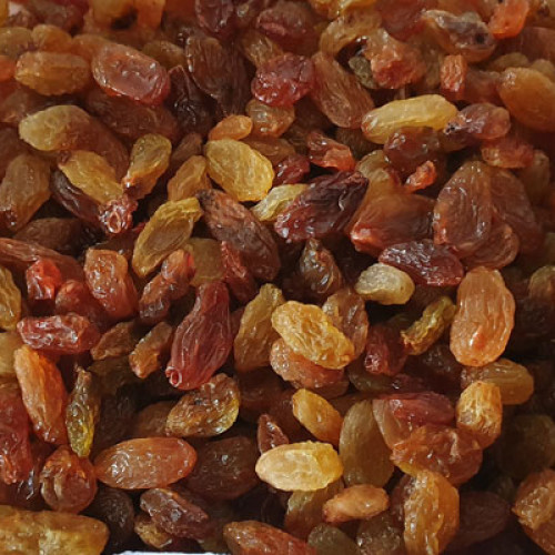 Malayar Raisins