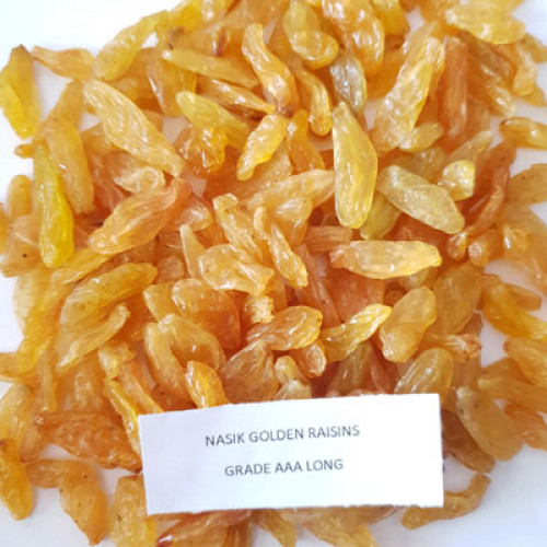 Nashik Golden Raisins