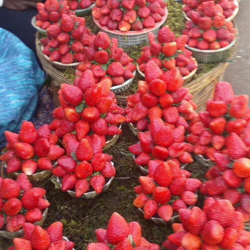 Strawberry