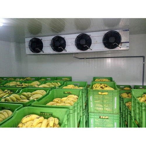 BANANA RIPENING CHAMBERS