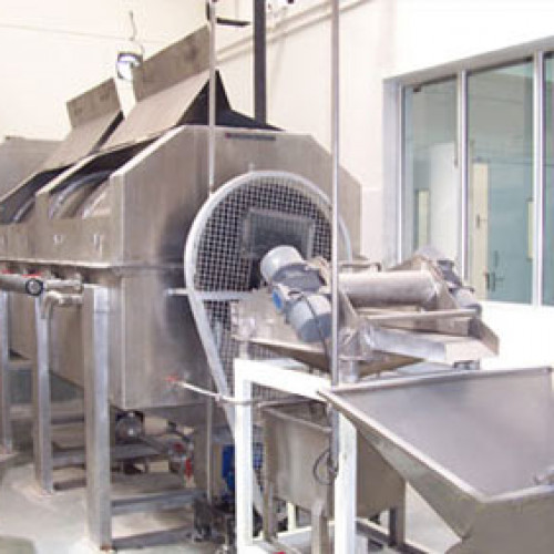 FRUIT VEGETABLE PROCESSING EQUIPMENT