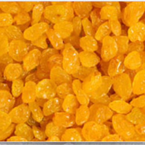 Golden Raisins