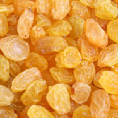 YELLOW RAISINS