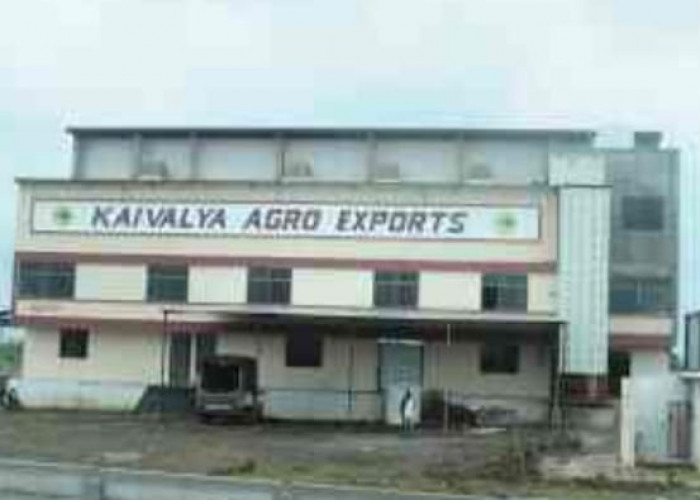 Kaivalya Agro Exports